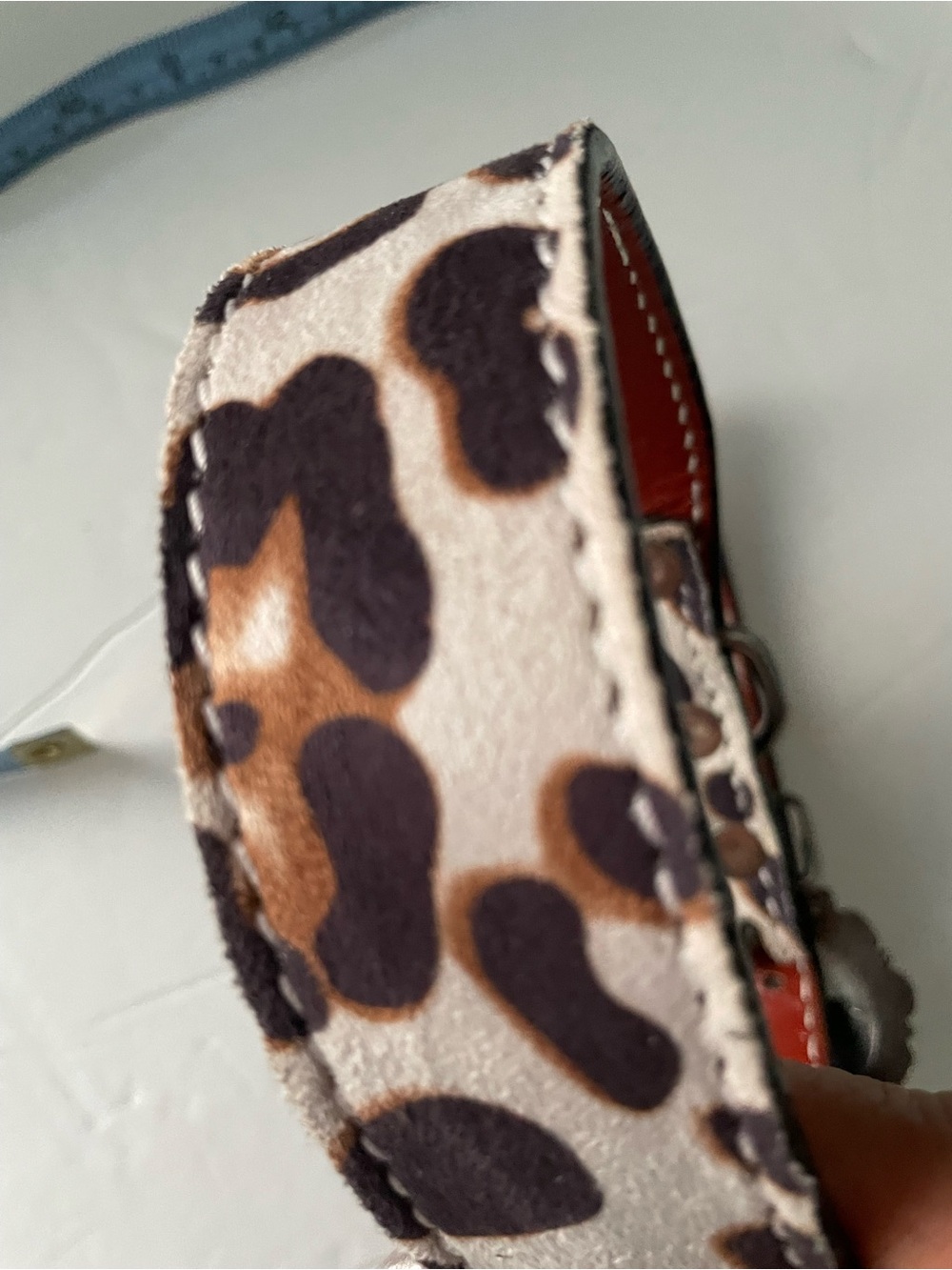 Leather leopard dog collar M